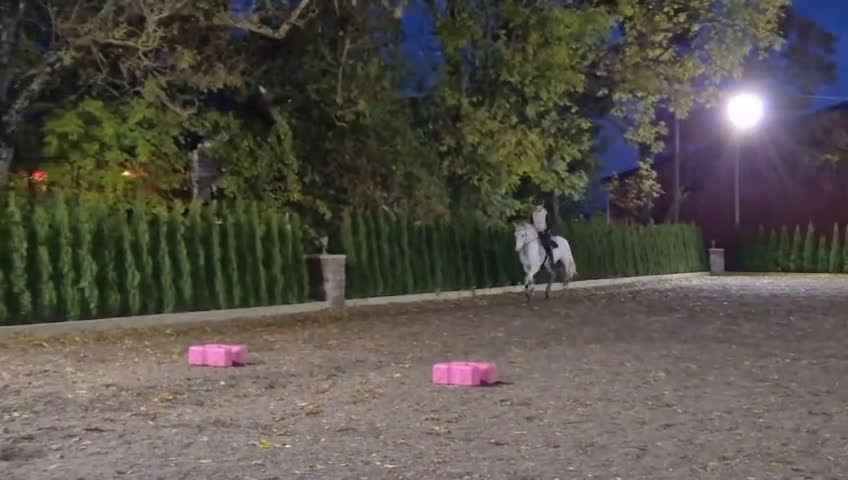 Allround hästar till salu: Positiv valack som älskar att jobba i Österhaninge - Video 5