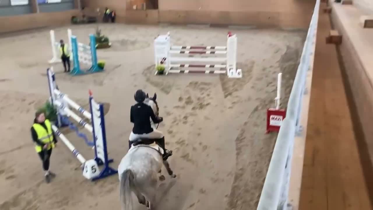 Hoppning hästar till salu: Underbar tävlingshäst  - Video 2