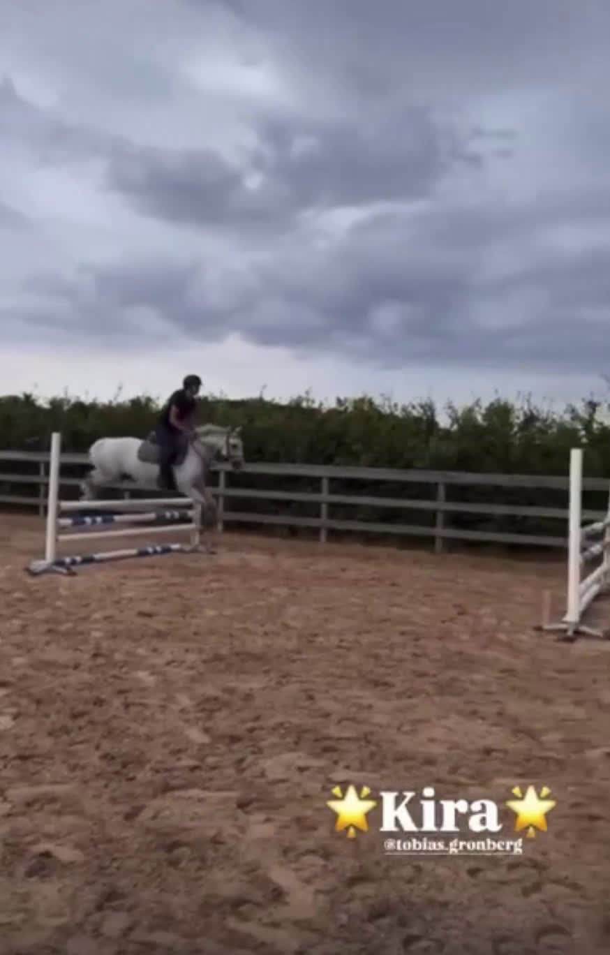 Hoppning hästar till salu: 9 årigt sto vinster och placeringar upp till LA! - Video 1