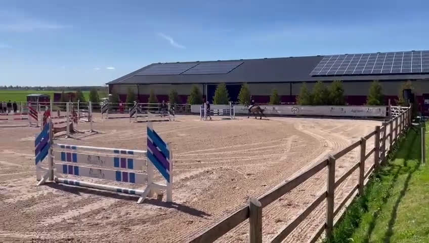 Fälttävlan hästar till salu: Fantastisk fälttävlansponny i Uppsala - Video 3