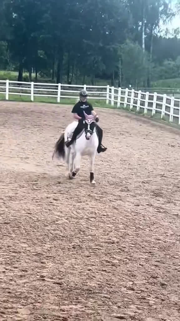 Allround hästar till salu: Din egen prinsessa ❤️ - Video 3