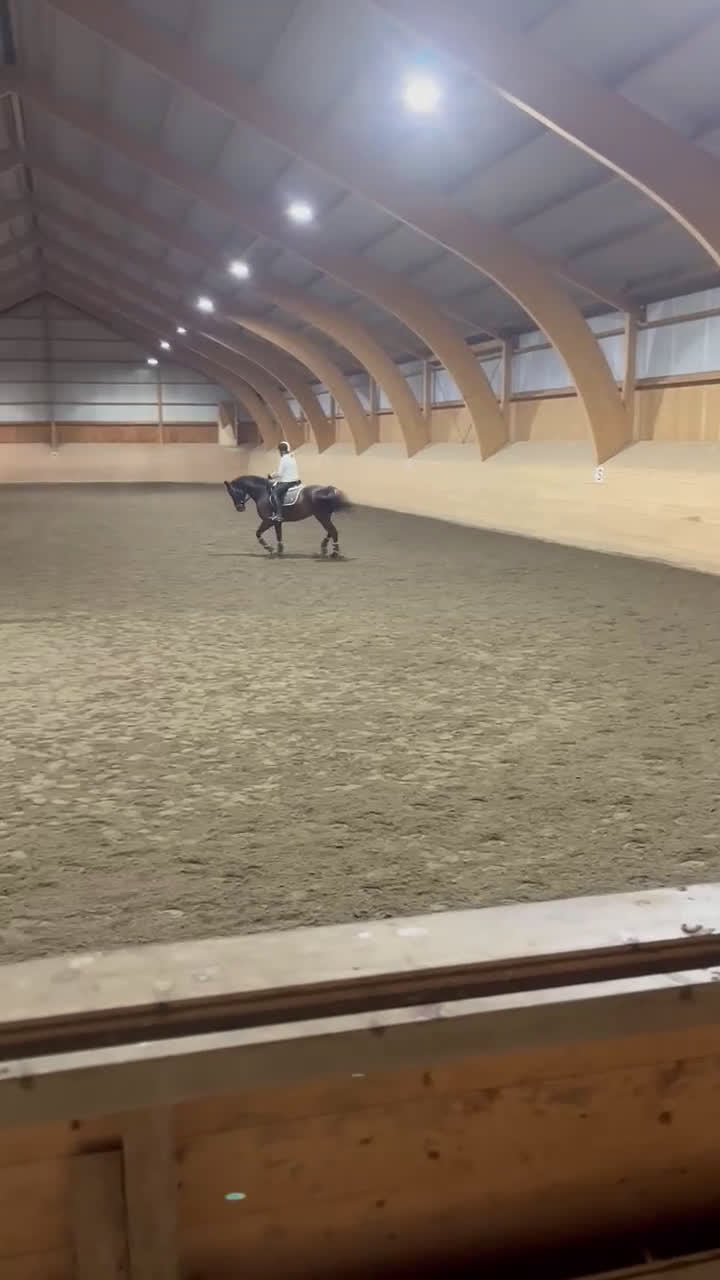 Allround hästar till salu: Fint sto med utstrålning  i Lerum - Video 4