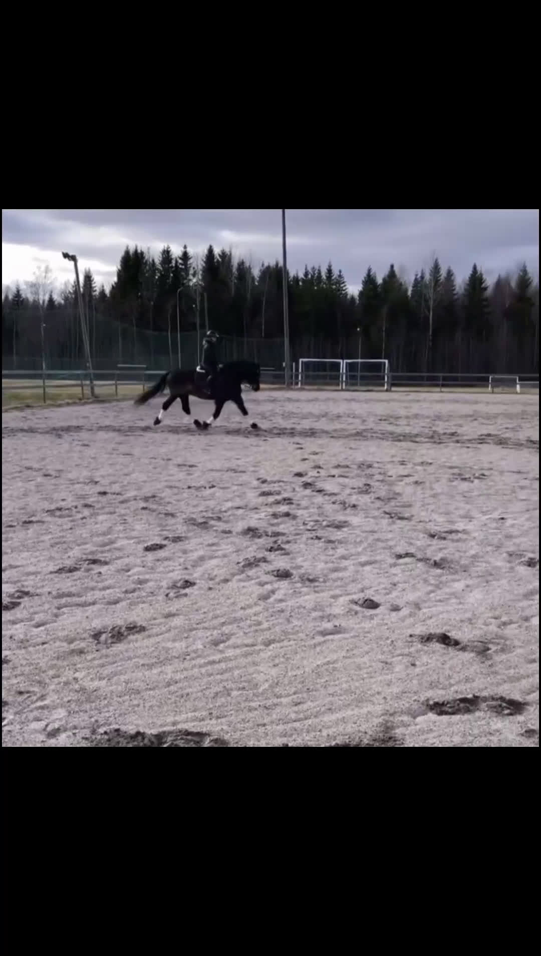 Allround hästar sökes: Hästvan familj söker ponny eller häst att låna💕 - Video 2