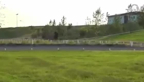 Island hästar till salu: 1 prize islandmare  - Video 2