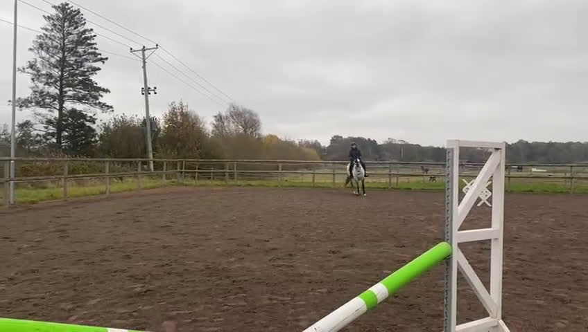 Dressyr hästar till salu: Snygg och trevlig valack med potential i Onsala - Video 1