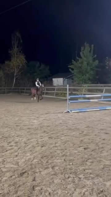 Allround hästar till salu: Sötaste B-ponnyn letar efter sin nya ryttare - Video 2