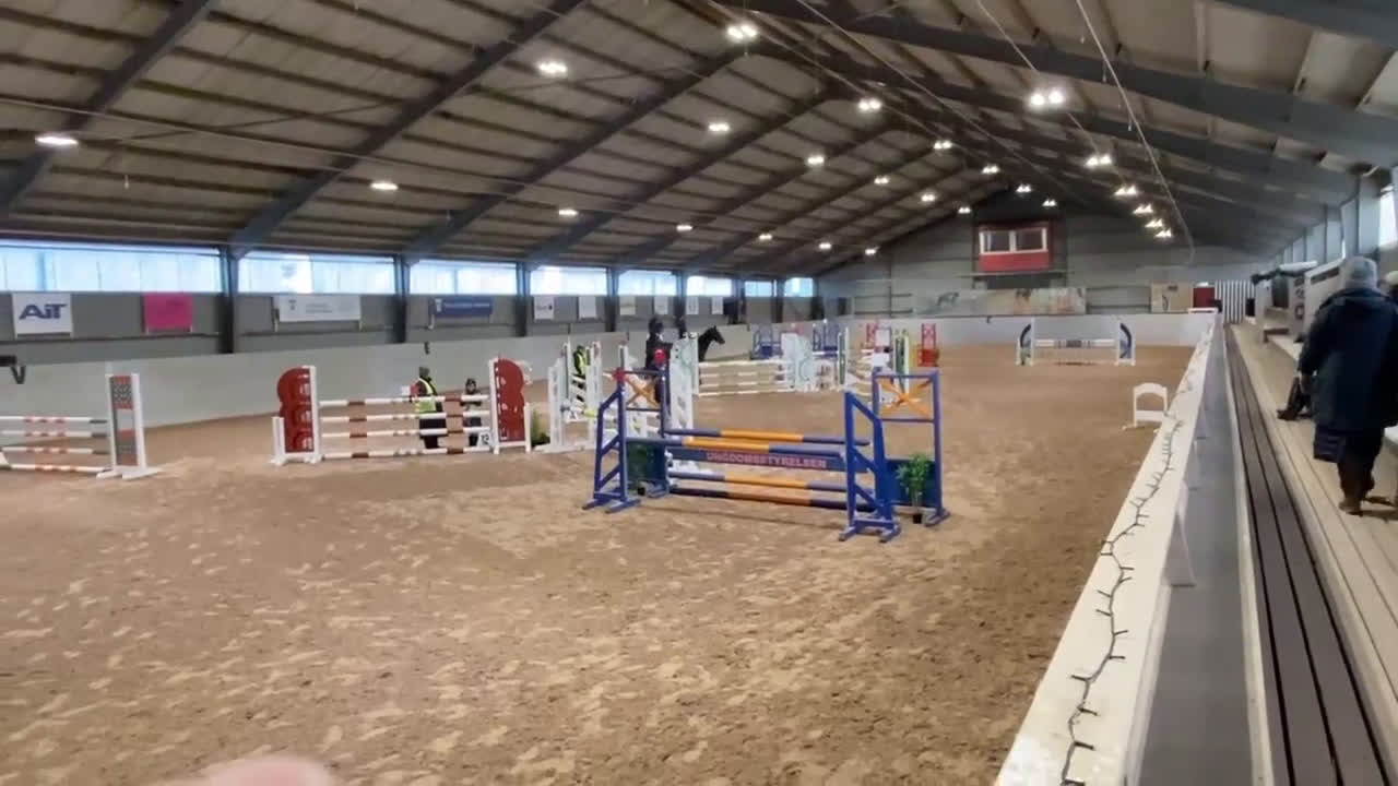 Allround hästar till salu: Fin sporthäst. i Lövestad - Video 2