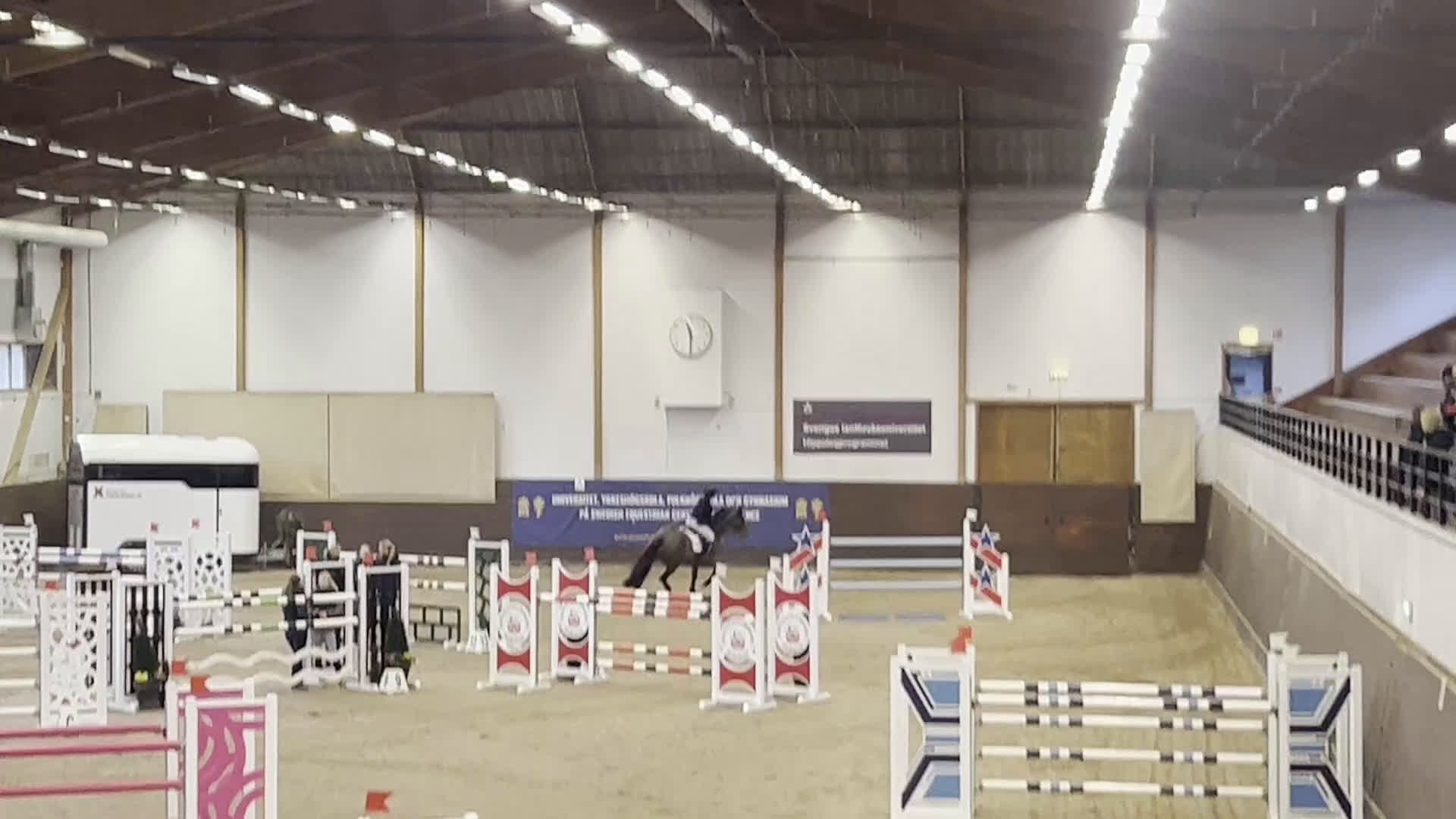 Hoppning hästar till salu: Topphäst Children/Junior Prissänkt! i Västra Frölunda - Video 2