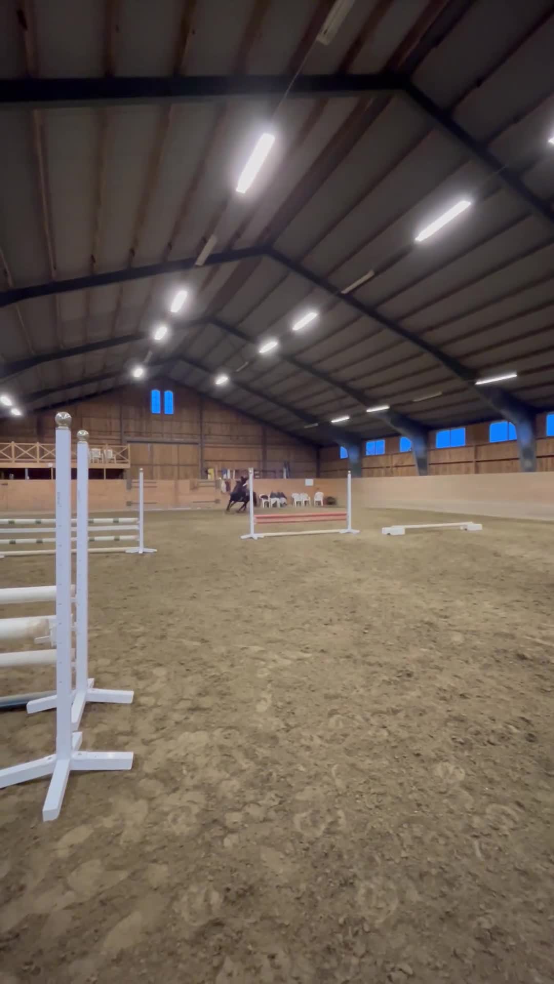 Allround hästar till salu: En pärla för framtiden  - Video 4
