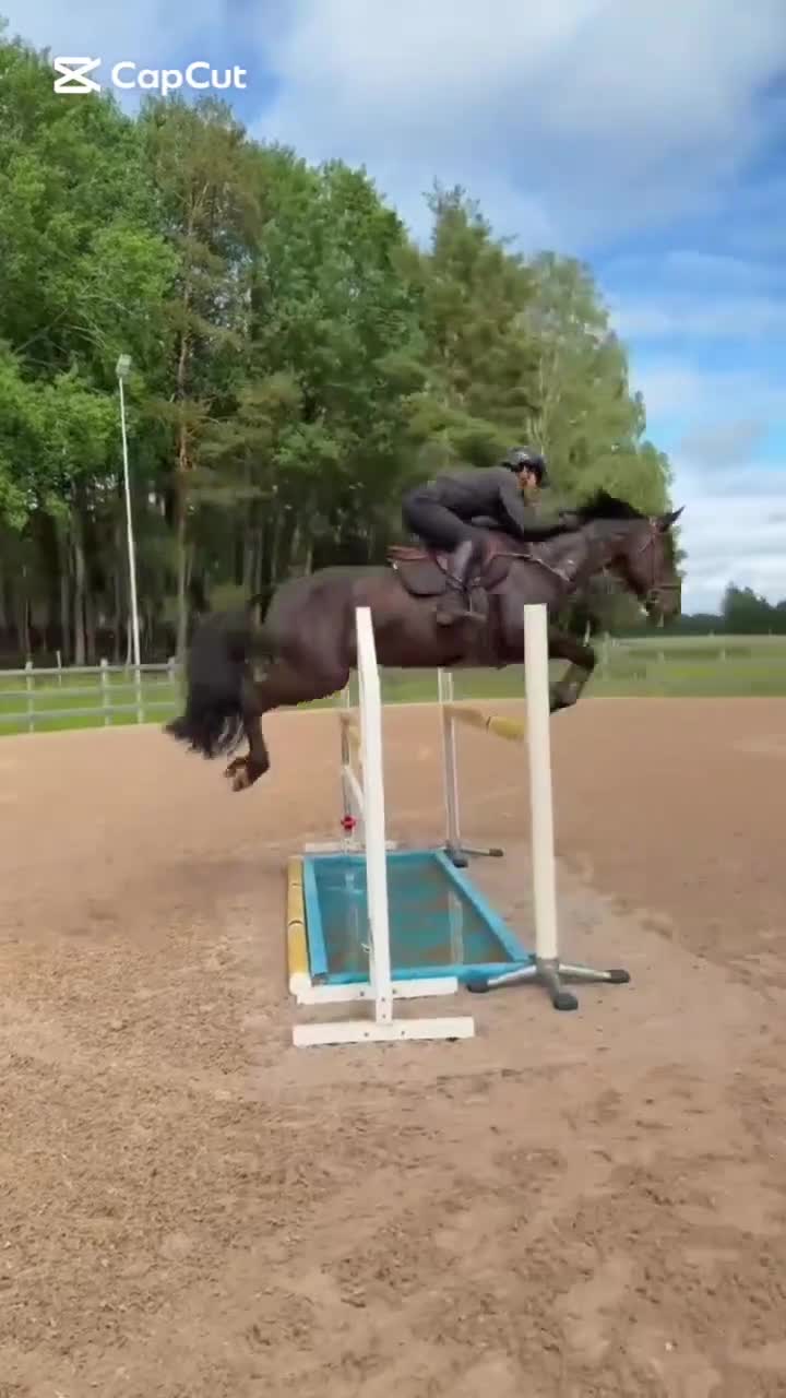 Hoppning hästar till salu: Kvalitéts ponny ✨ - Video 2