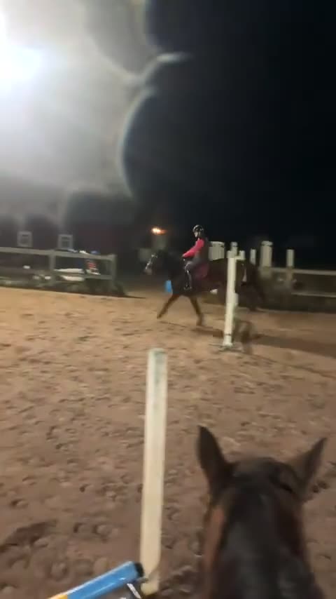 Allround hästar till salu: Underbar varmblodig ridtravare - Video 3