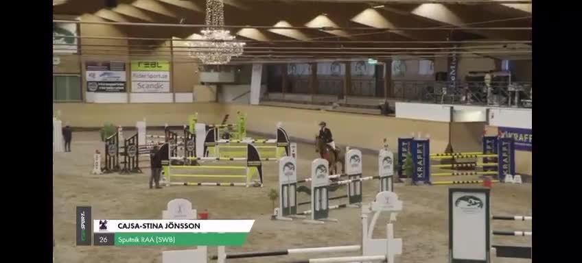 Allround hästar till salu: Välutbildad valack - Video 1