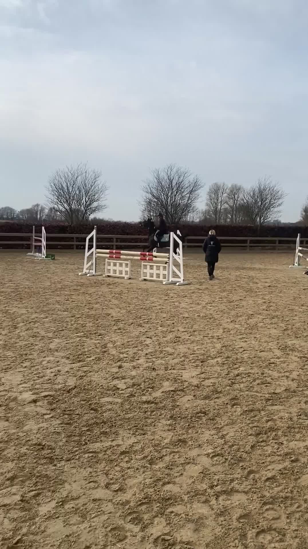 Hoppning hästar till salu: Smuk FEI springpony - Video 2