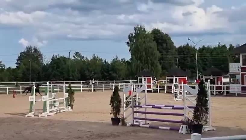 Hoppning hästar till salu: Svensk ridponny e.Converse All Star - Video 4