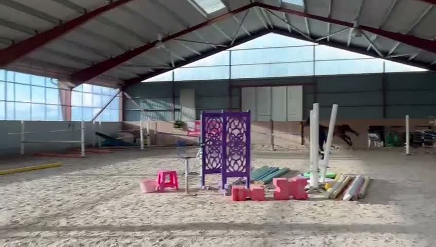 Hoppning hästar till salu: Lovande svenskfött sto med framtidspotential ✨ - Video 4