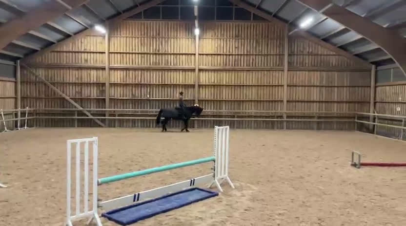 Dressyr hästar till salu: Oslipad diamant med stor personlighet 💎 i Skummeslövsstrand - Video 3