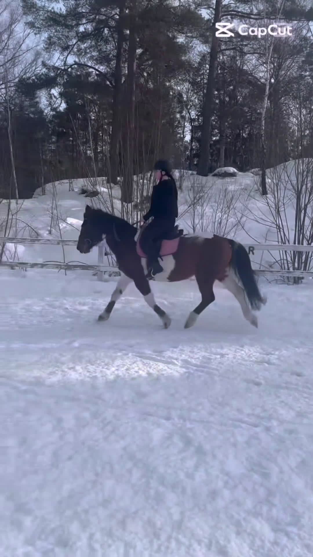 Allround hästar sökes: Söker medryttarhäst!🐴 i Gustavsberg - Video 1