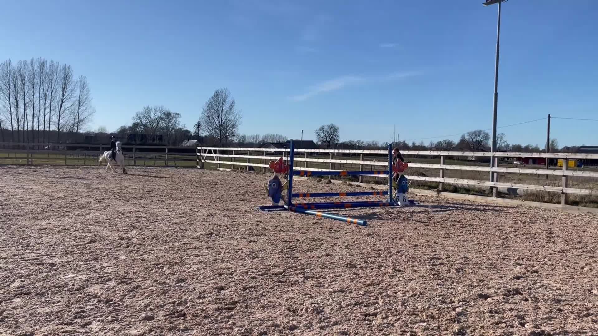 Allround hästar till salu: Pigg och mysig C-ponny - Video 1