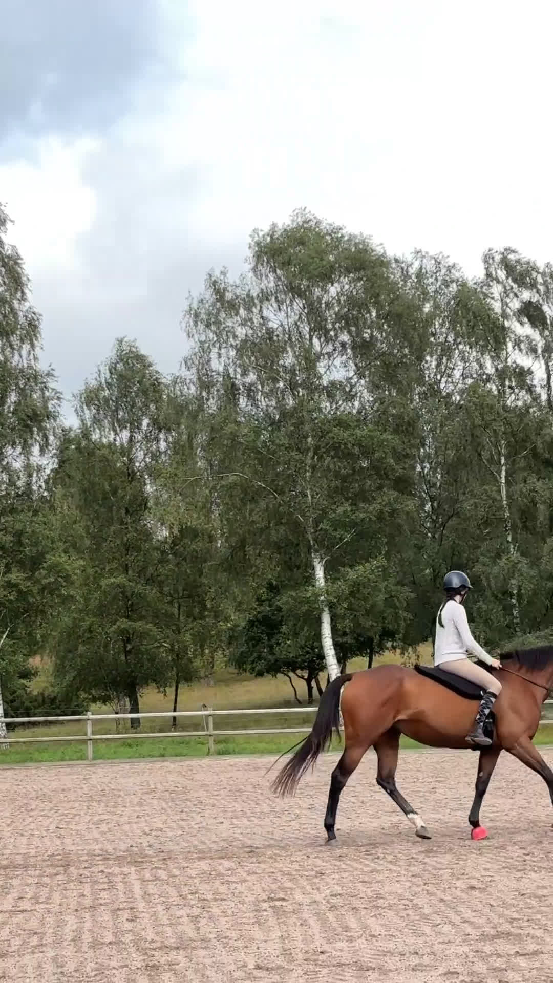 Allround hästar till salu: Världens snällaste sto - Video 2