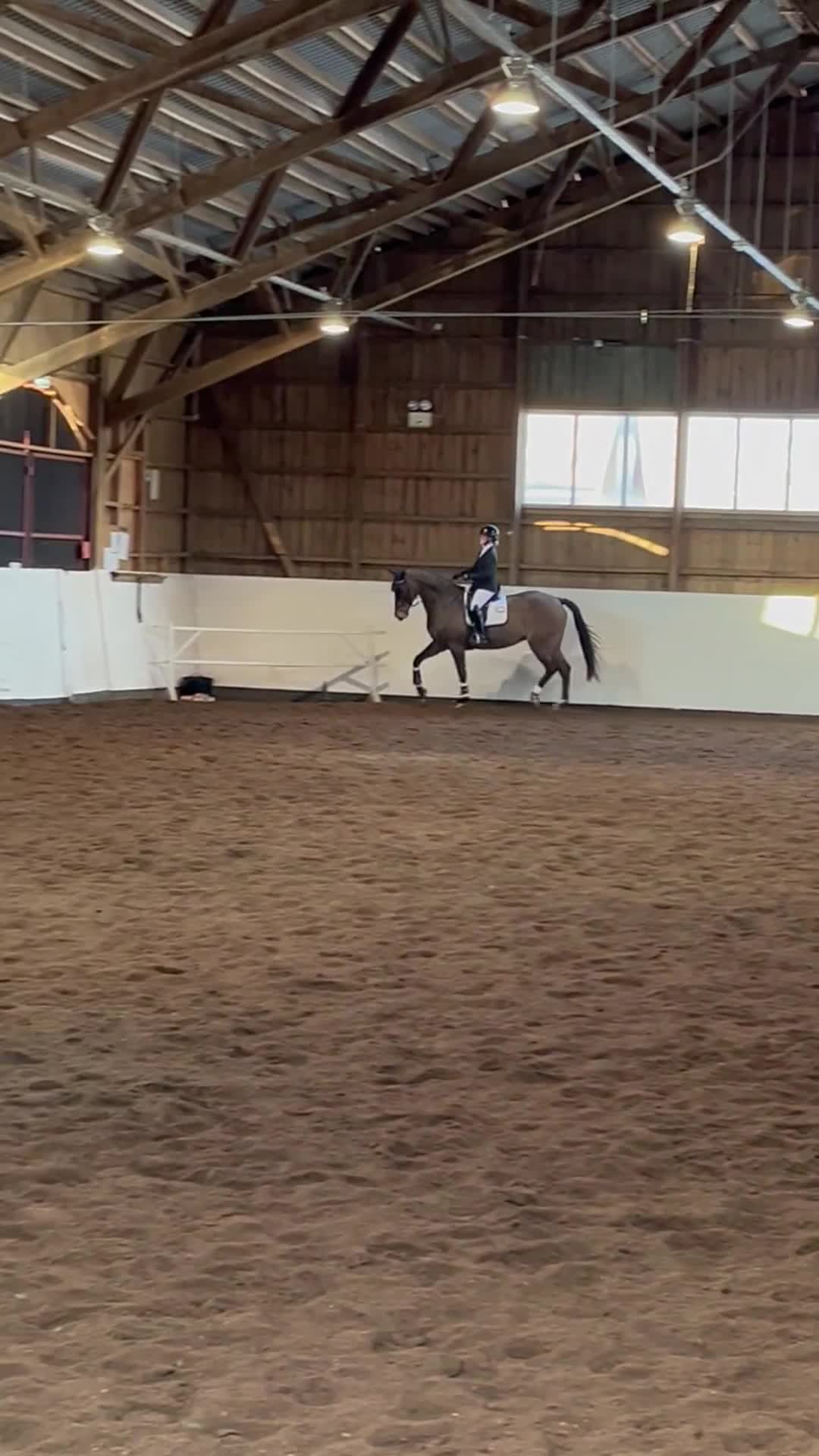 Allround hästar till salu: Häst för svår klass i både hoppning och dressyr! - Video 1