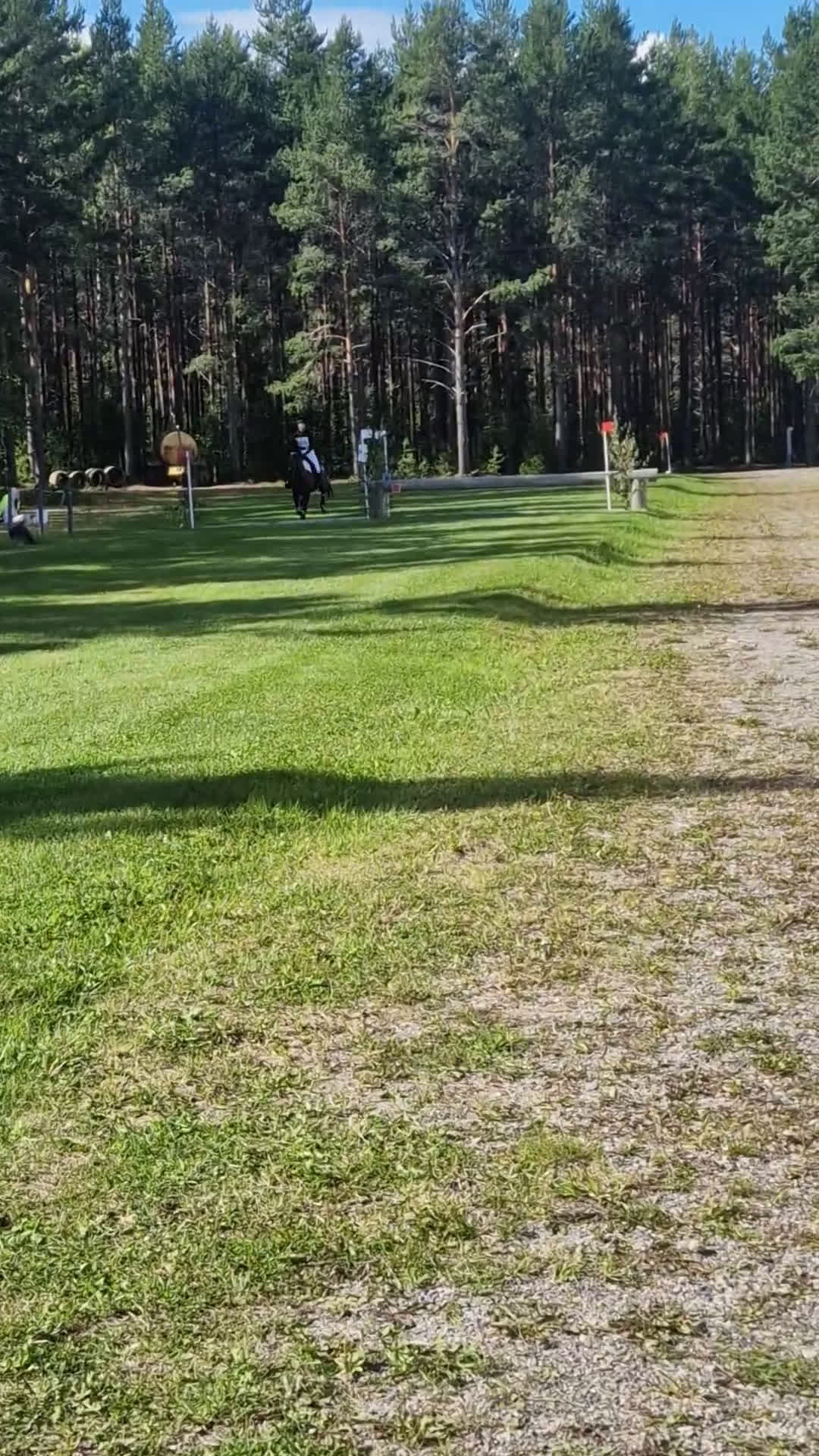 Hoppning hästar till salu: Allroundponny med utstrålning🐴 i Järvsö - Video 5