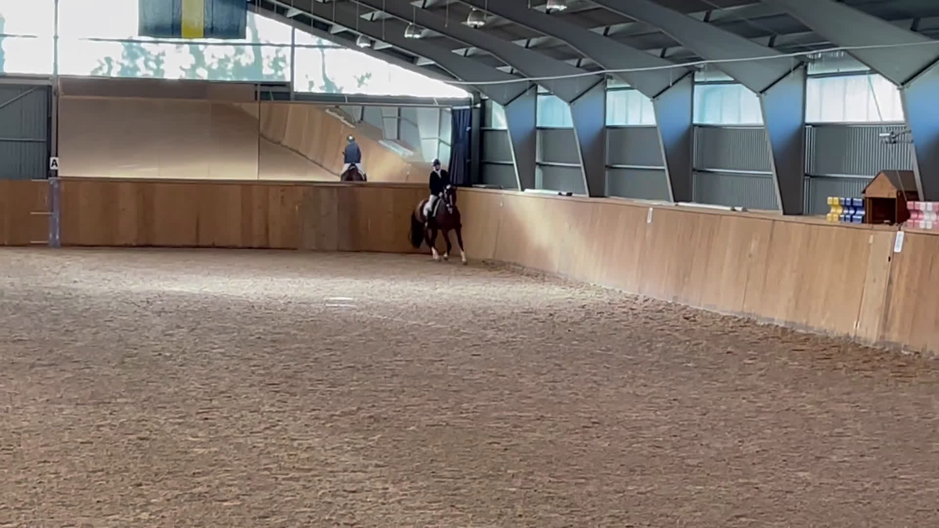 Dressyr hästar till salu: Fantastisk dressyrvalack  i Lärbro - Video 1