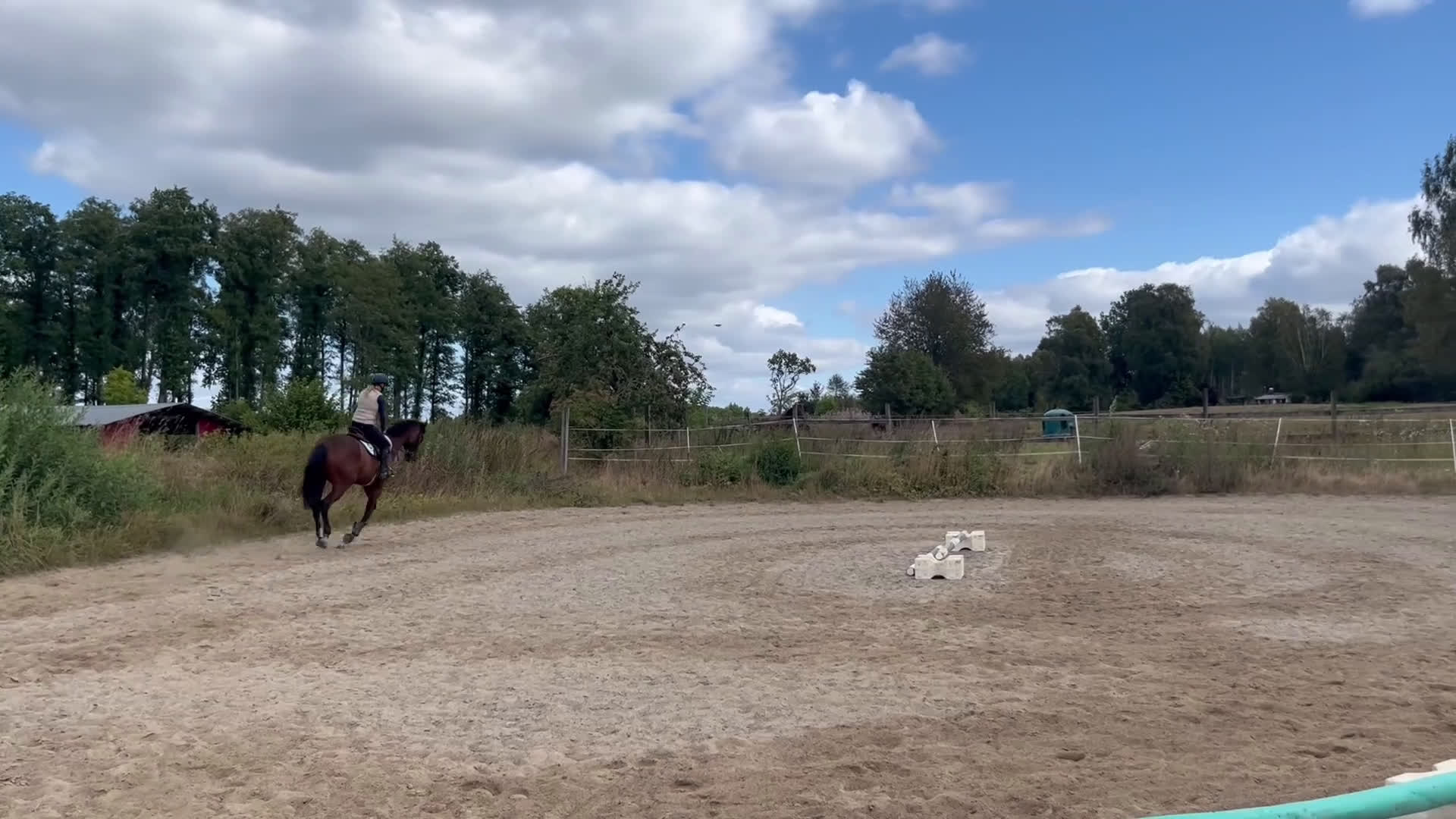 Fälttävlan hästar till salu: Underbar unghäst med ett toppen psyke! i Höör - Video 3