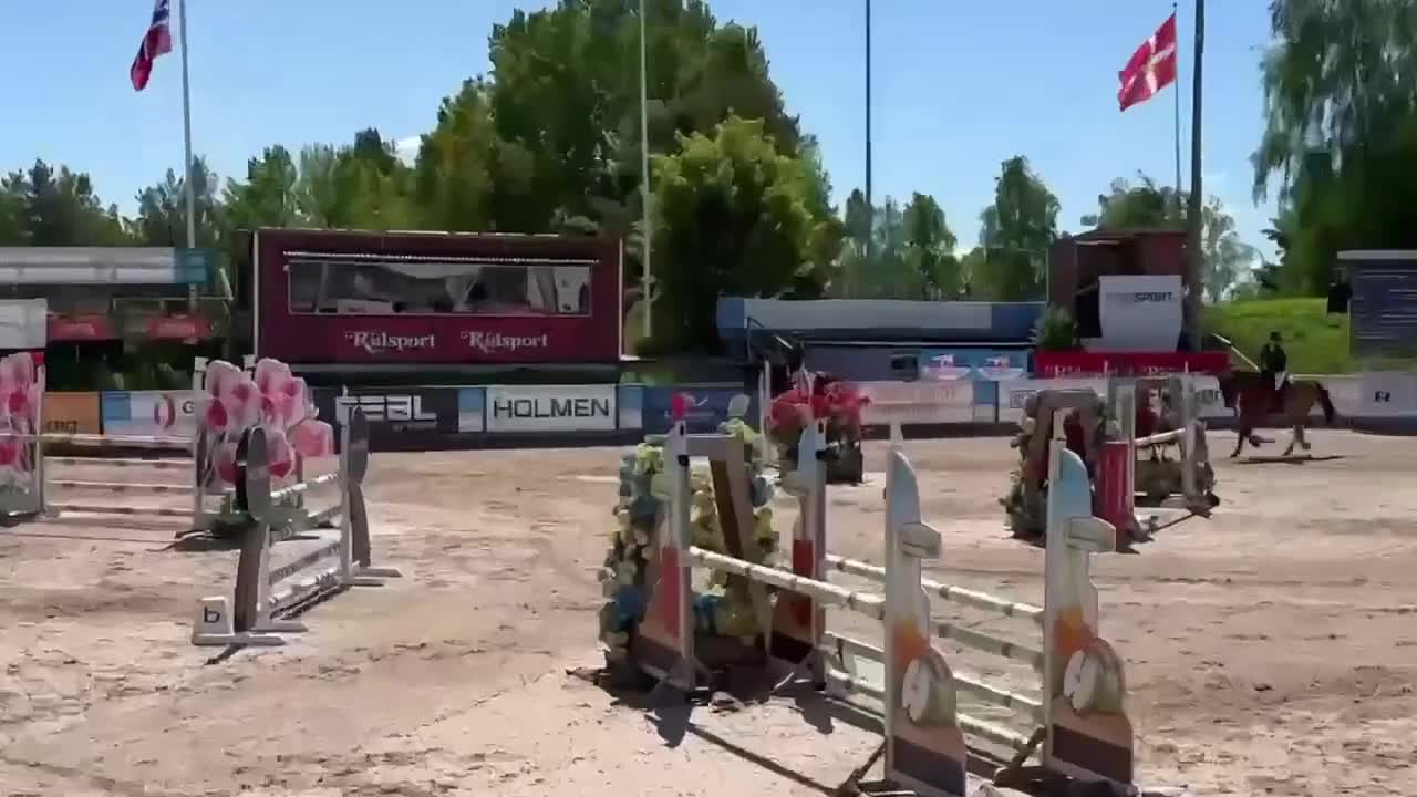 Övrigt hästar till salu: 7 årig SWB valack för hoppning  - Video 1