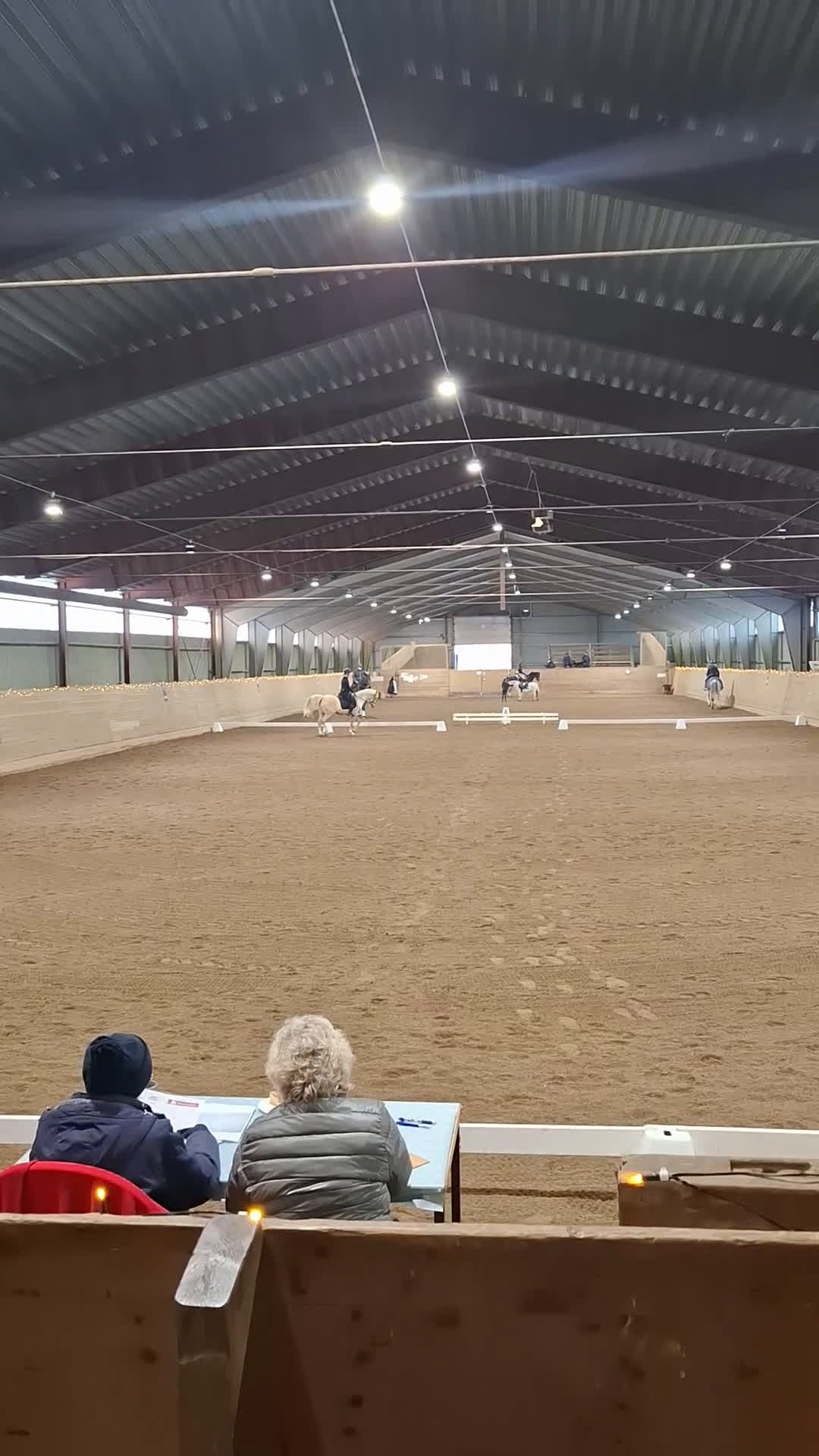 Dressyr hästar till salu: Maxad C med stor utstrålning  - Video 5