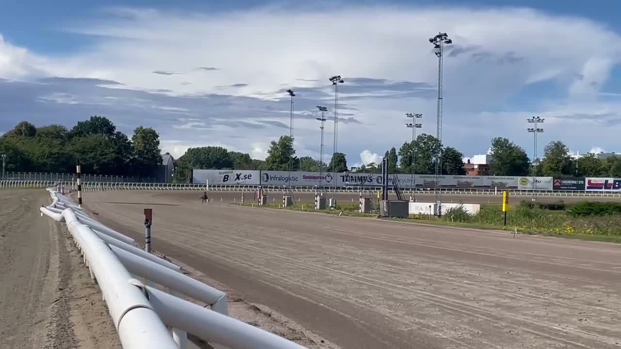 Trav hästar till salu: Premieklar 2-åring - Video 2