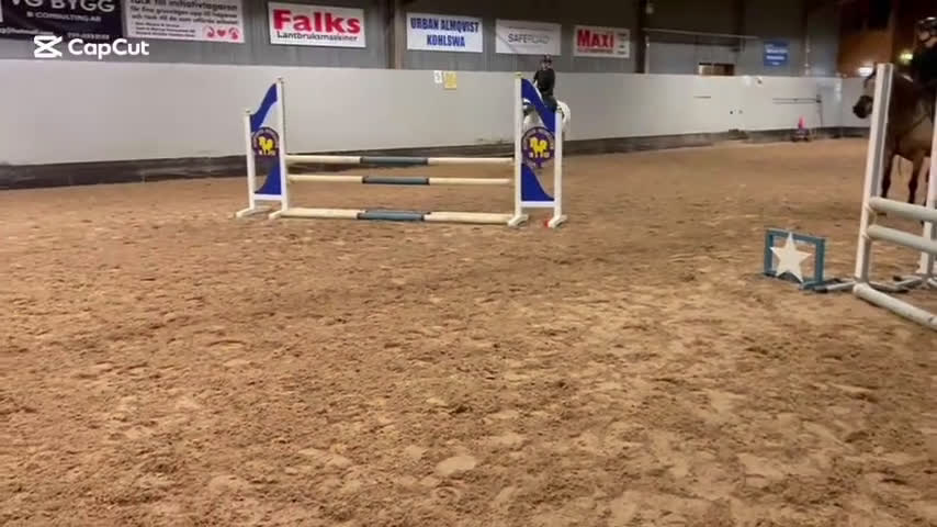 Allround hästar till salu: Trevlig allround D-ponny i Köping - Video 2