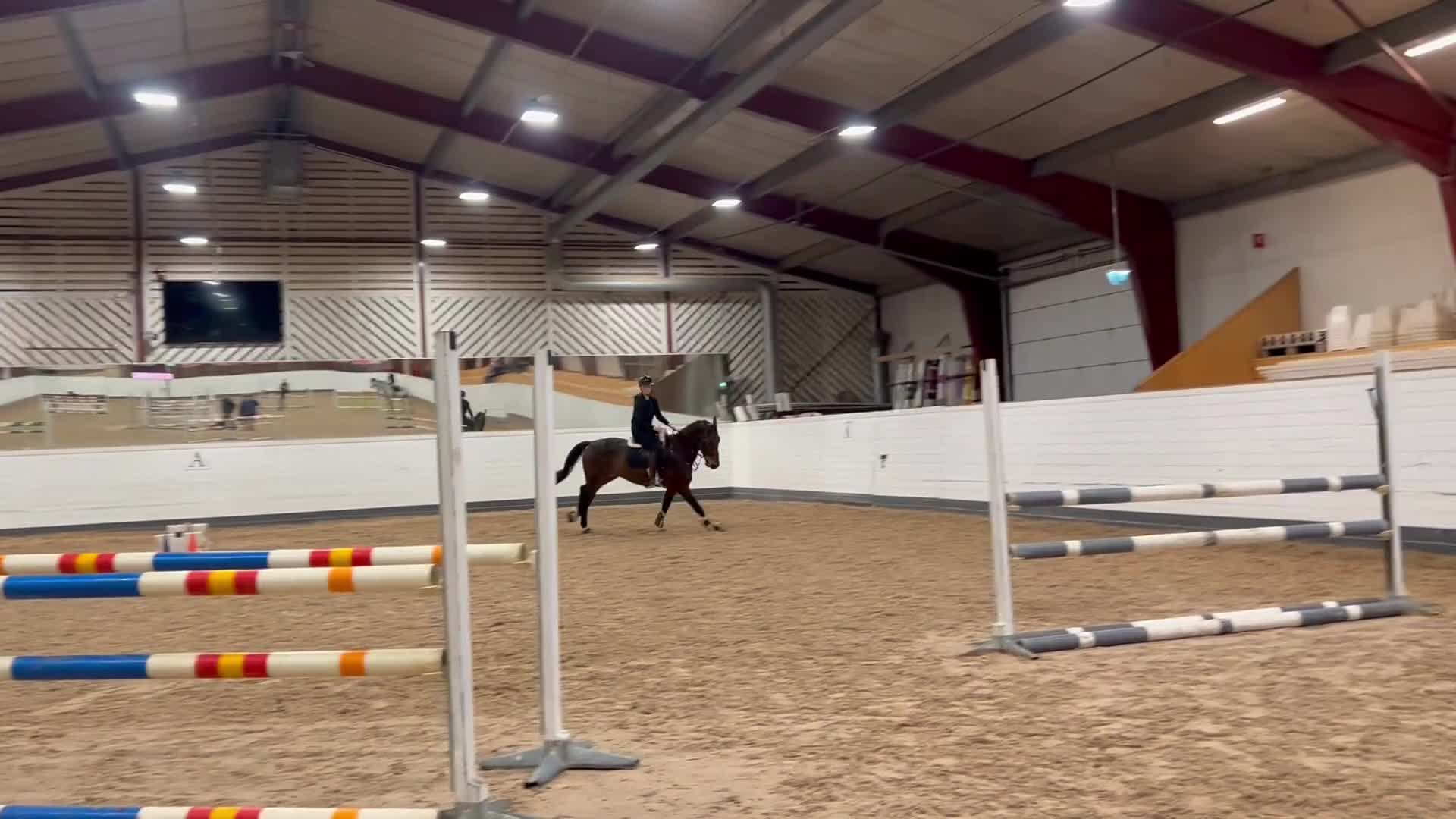 Hoppning hästar till salu: Snäll och trygg swb valack  i Sundsvall - Video 2