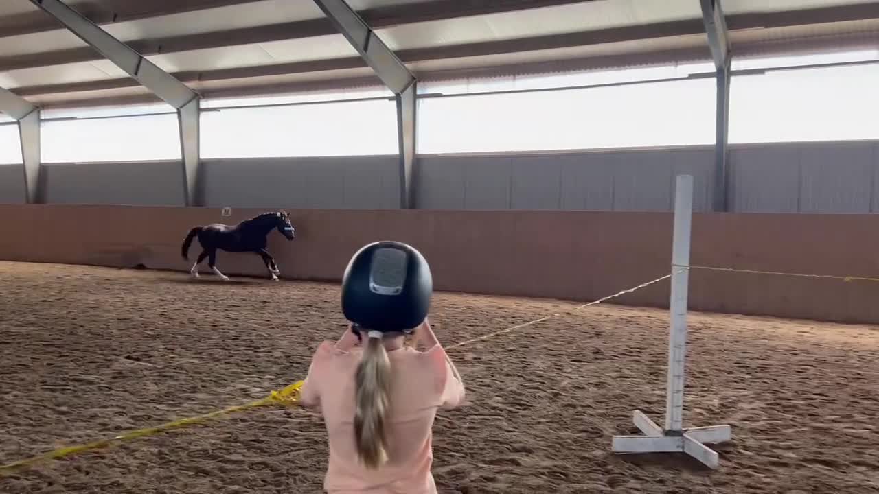 Allround hästar till salu: Fin maxad B-ponny - Video 1
