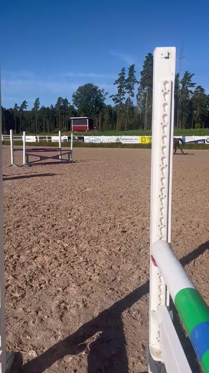  foderhäst sökes: Söker en hoppglad kompis!  i Kil - Video 2