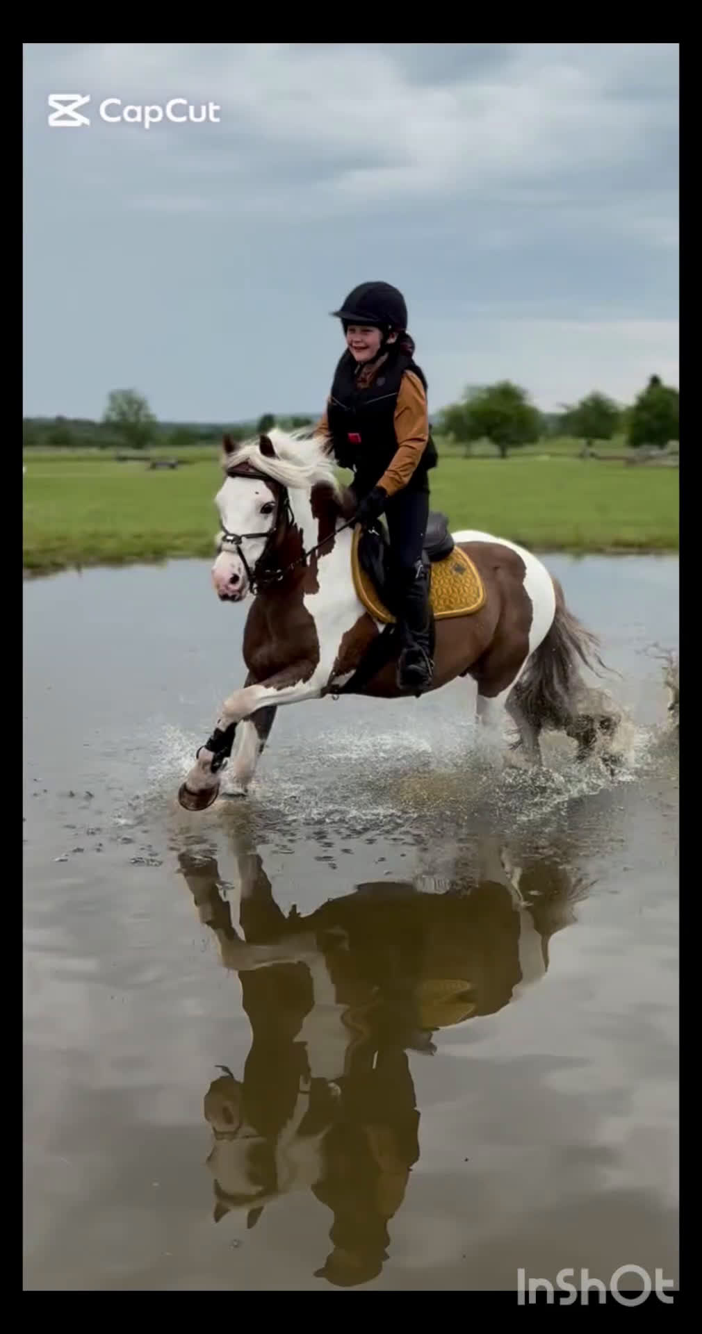 Hoppning hästar till salu: Allsidig b-ponny till rätt ryttare - Video 4