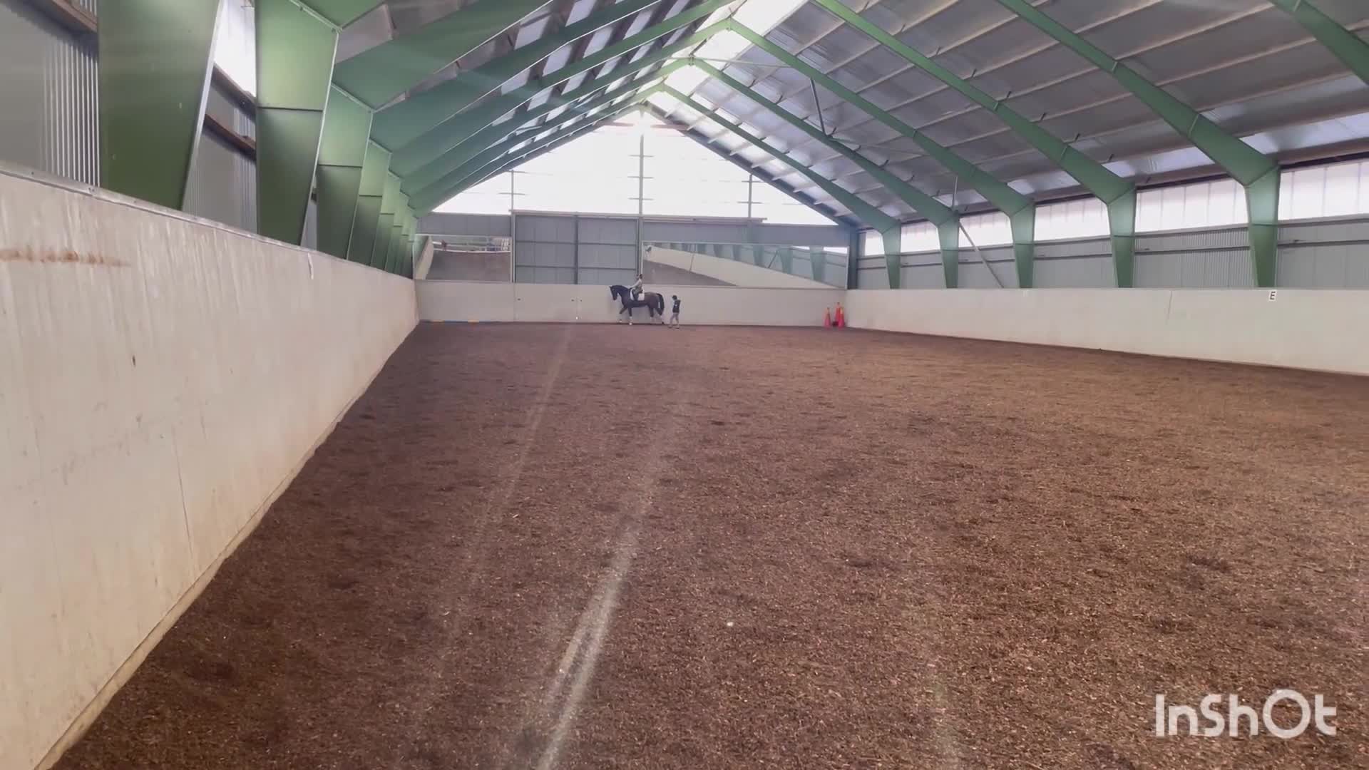 Dressyr hästar till salu: Välmeriterad tävlingshäst  - Video 2