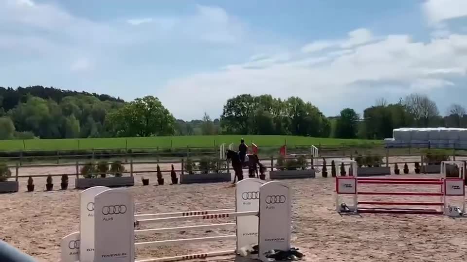 Hoppning hästar till salu: Hopphäst med mycket scope! - Video 3