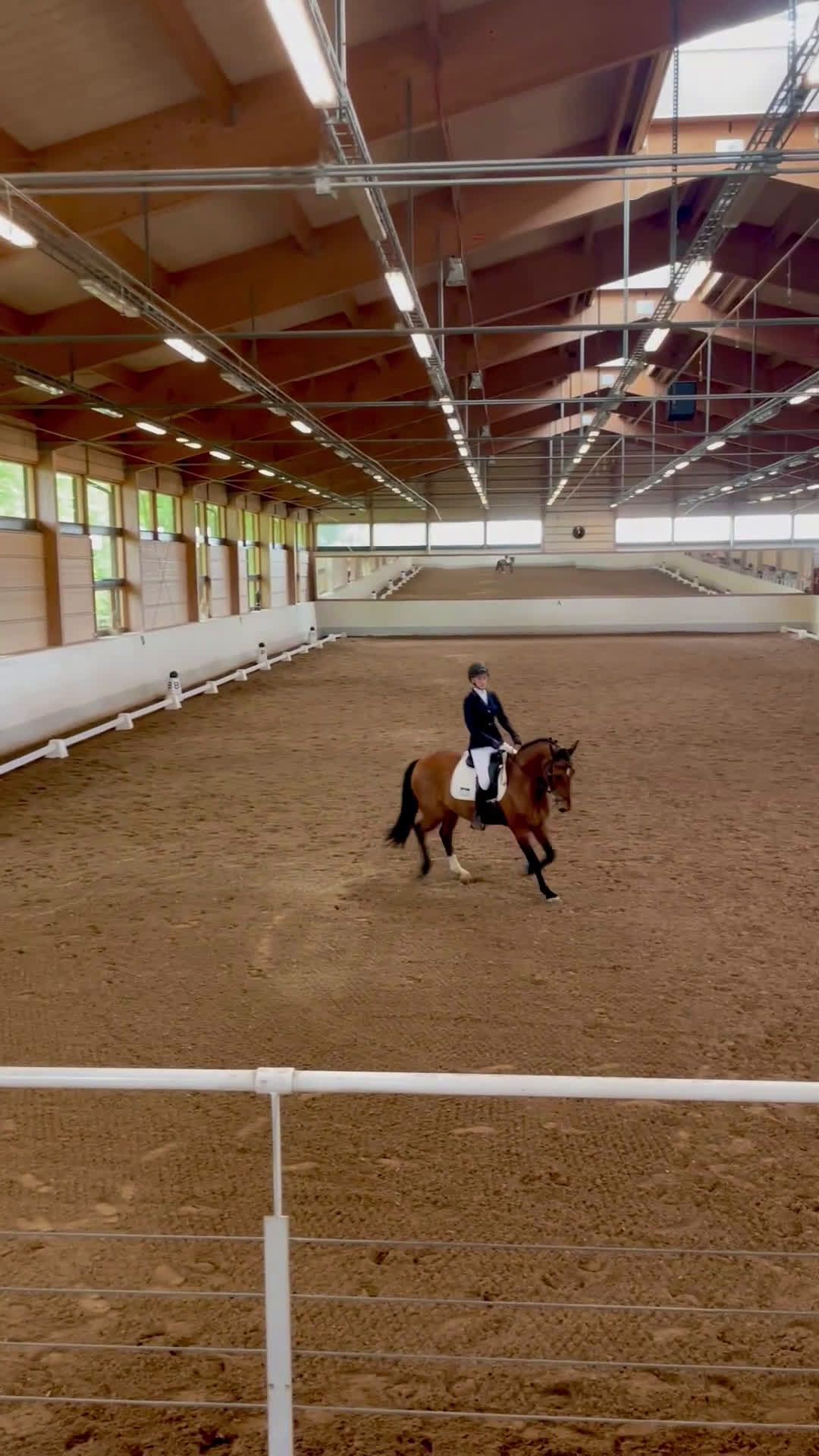 Allround hästar till salu: Lyxig hobbyhäst i Täby - Video 2