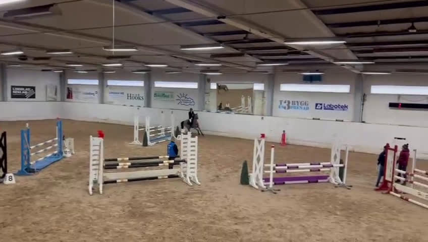 Allround hästar till salu: SNYGG TÄVLINGSPONNY!💫 i Mörarp - Video 2