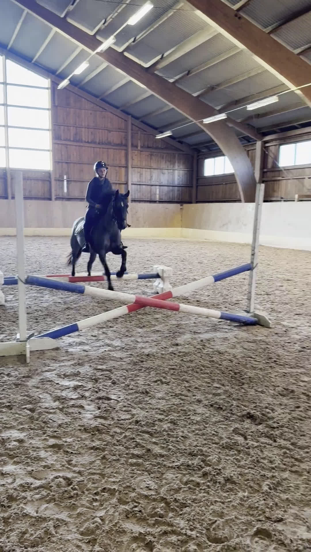 Allround hästar till salu: Superfint C-ponny sto - Video 3