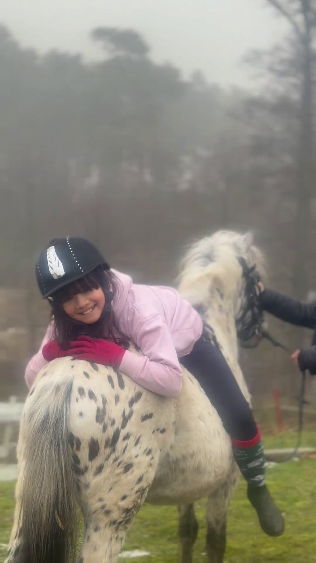 Hoppning hästar till salu: Jumping pony with special color i Ystad - Video 1