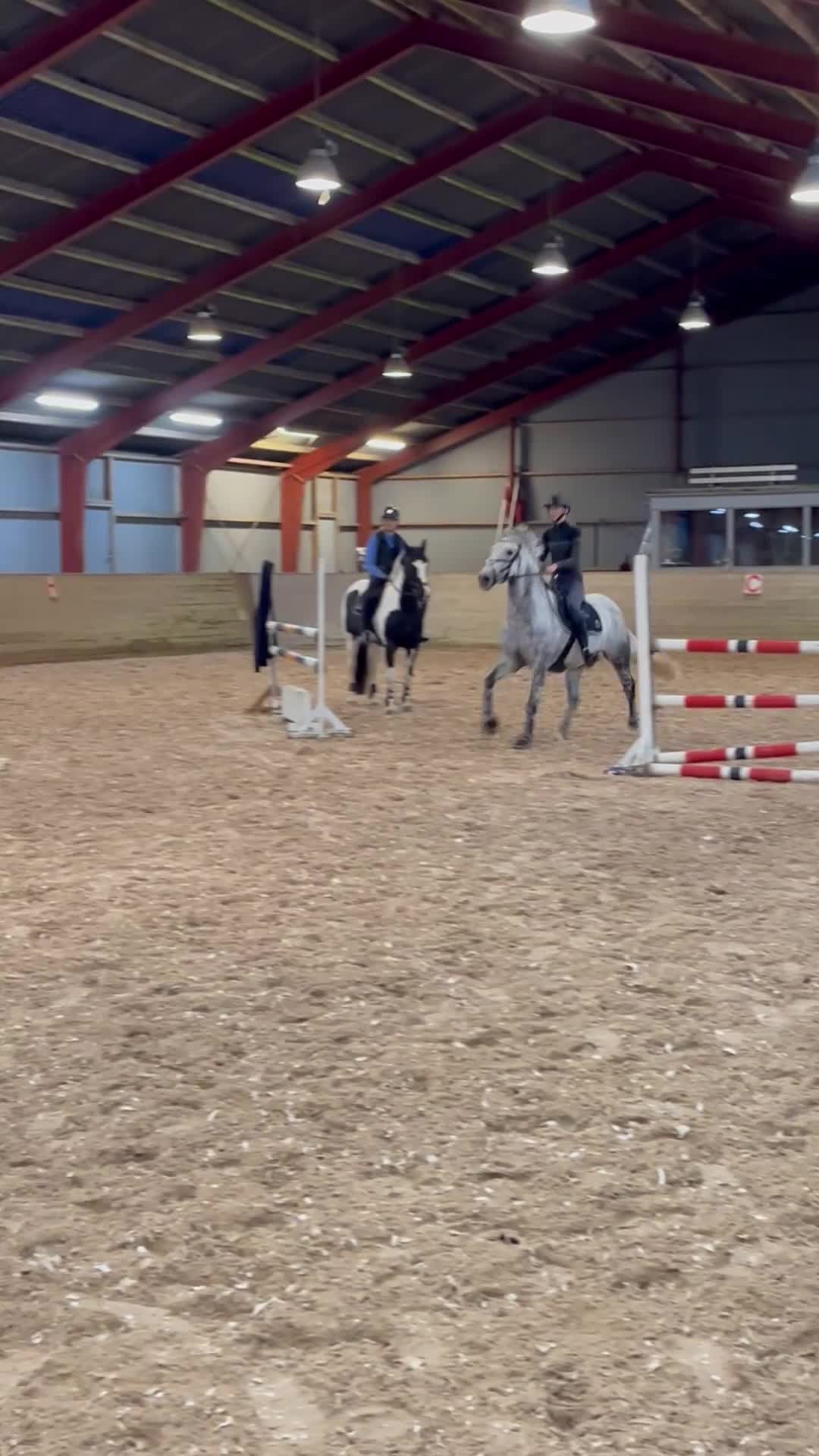 Hoppning hästar till salu: Bonnie Gray – Irsk Max Kategori 1 Springpony – 9år - Video 1