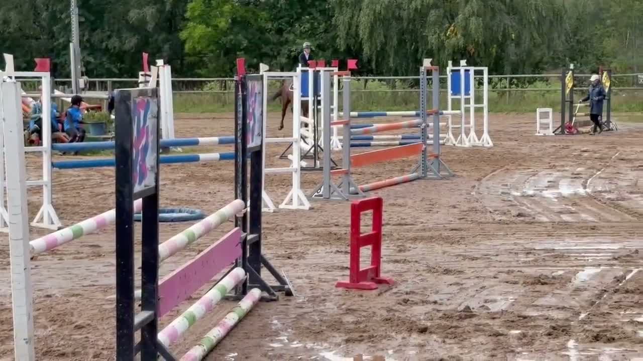 Allround hästar till salu: 6 årigt sto - Video 1
