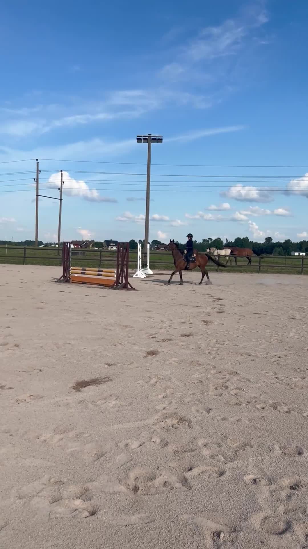 Hoppning hästar till salu: 🌟INTRESSEKOLL🌟 - Video 3