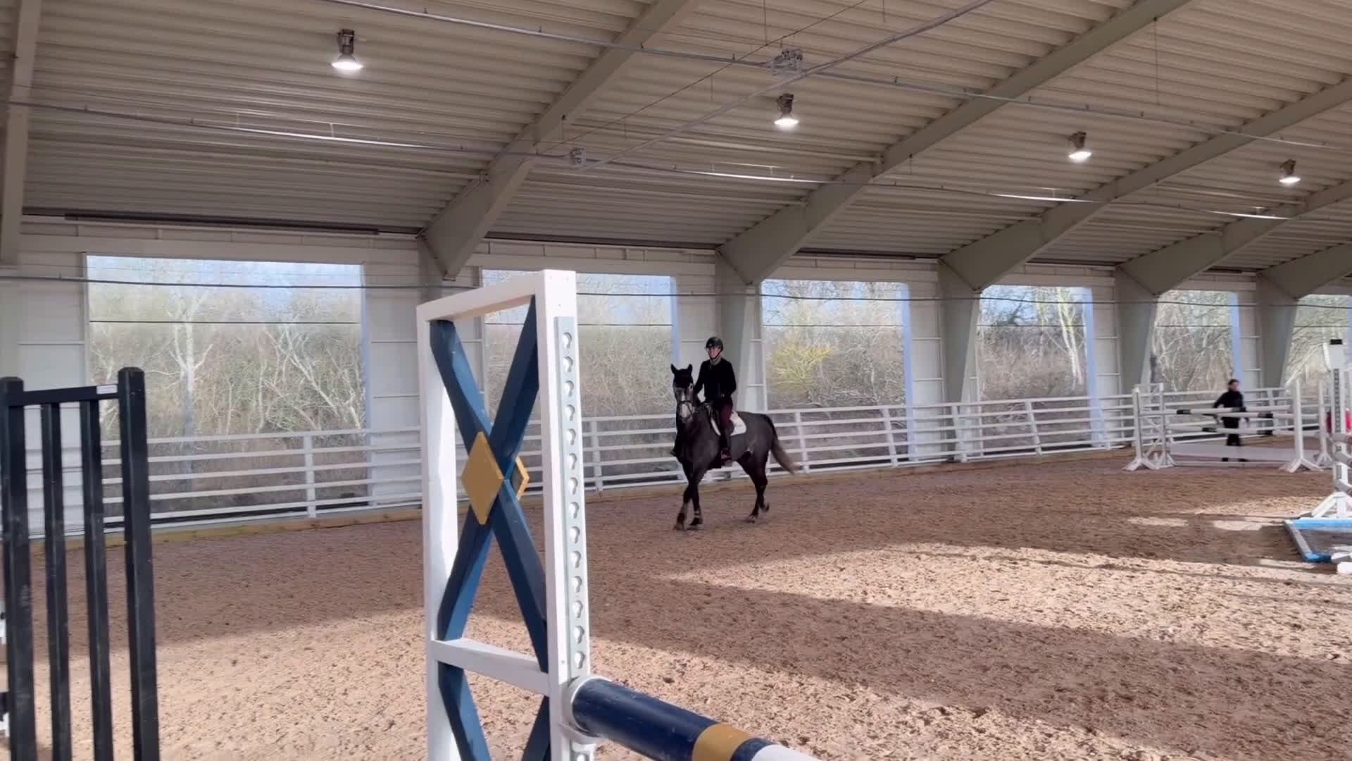 Allround hästar till salu: En häst för framtiden ⭐️ - Video 2