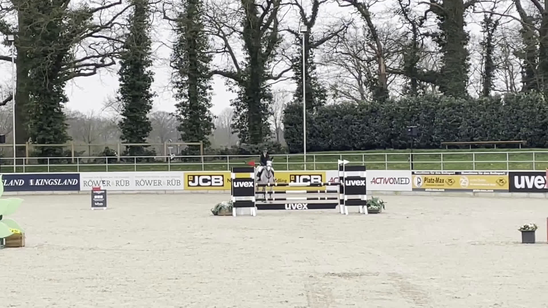 Hoppning hästar till salu: Rosettplockare – Fint 7-årigt sto  i Trelleborg - Video 1