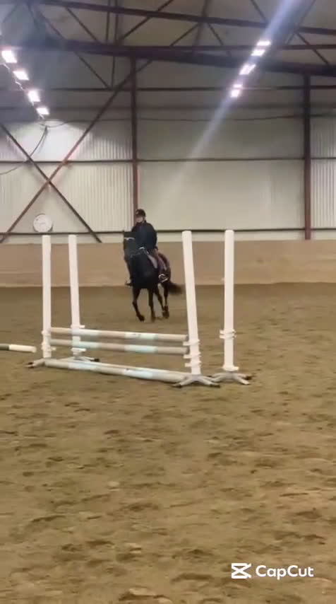 Allround hästar till salu: Trevligt sto- perfekt utvecklingshäst  i Hallstahammar - Video 2