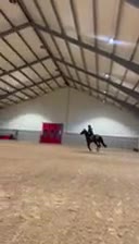 Allround hästar till salu: Fantastiskt sto  i Höganäs - Video 1