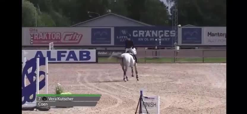 Hoppning hästar till salu: Hopphäst - Video 2