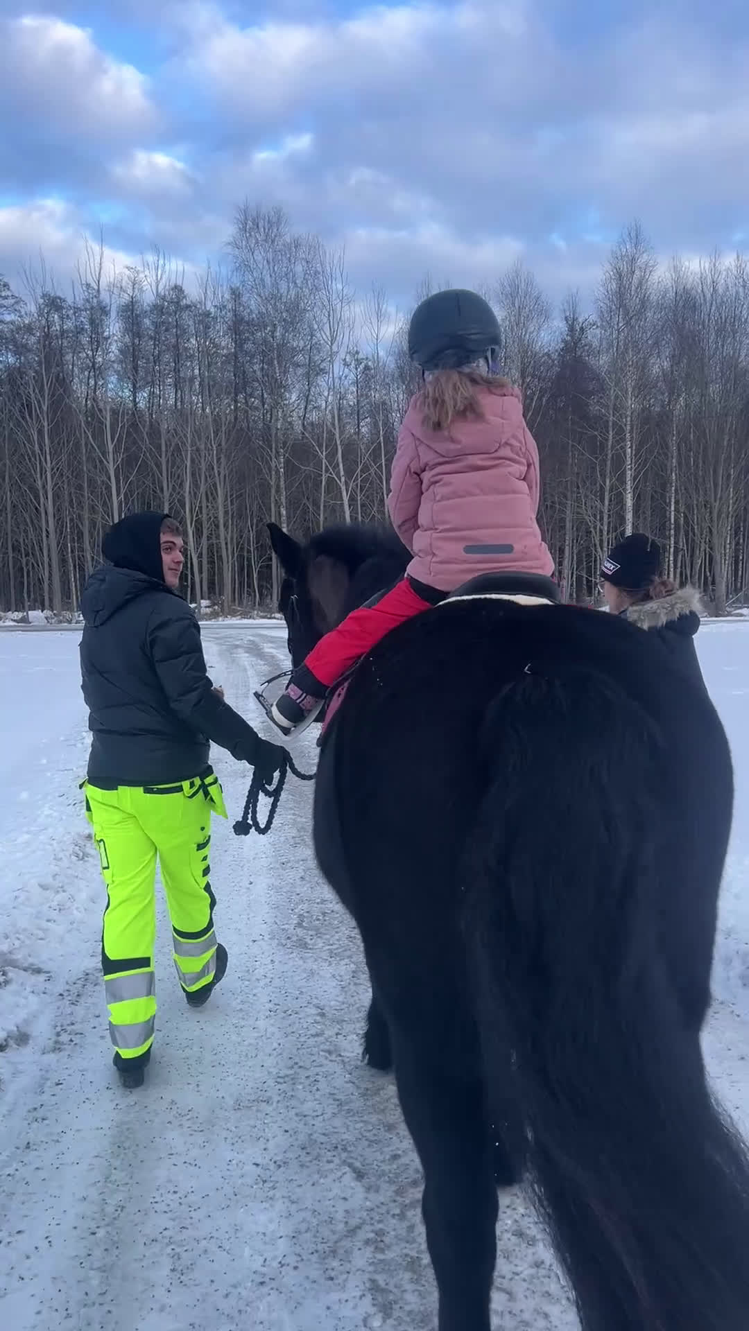 Allround hästar till salu: Snygg nordsvensk valack  - Video 1